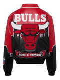 Jeff Hamilton x Chicago Bulls Skyline jacket